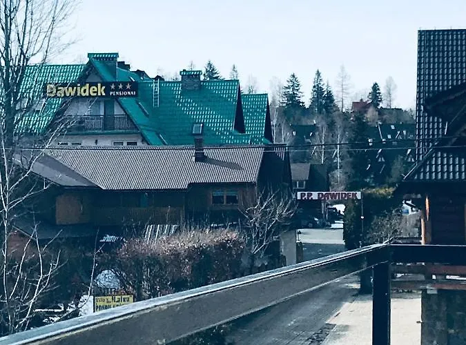 Pod Gorami ザコパネ