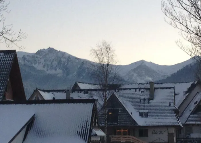 Pod Gorami ザコパネ